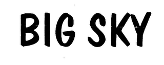 BIG SKY logo