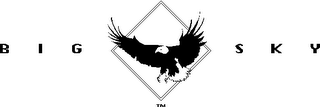 BIG SKY logo