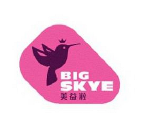 BIG SKYE logo