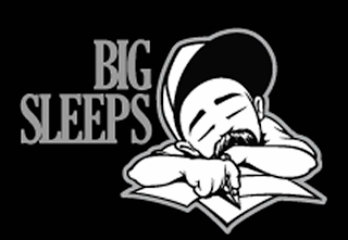 BIG SLEEPS logo