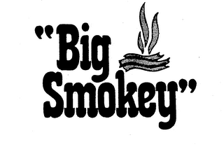 "BIG SMOKEY" logo