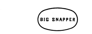 BIG SNAPPER logo