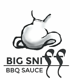 BIG SNIFF BBQ SAUCE logo