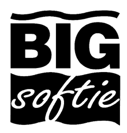 BIG SOFTIE logo