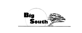 BIG SOUTH logo