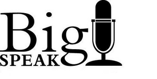 BIG SPEAK logo