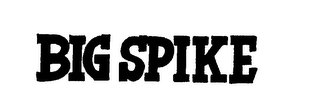 BIG SPIKE logo