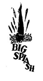 BIG SPLASH logo