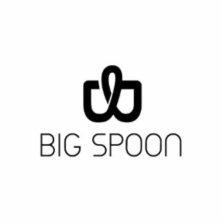 BIG SPOON logo