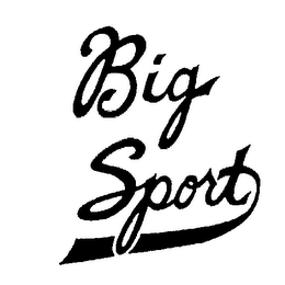 BIG SPORT
