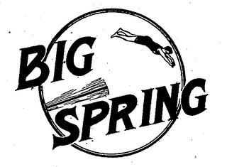 BIG SPRING logo