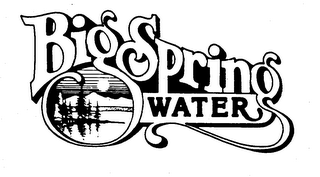 BIG SPRING WATER logo