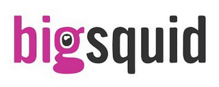 BIG SQUID logo