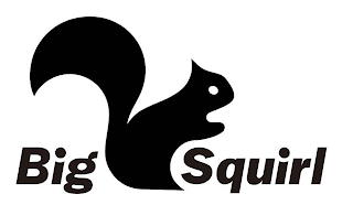 BIG SQUIRL logo