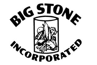 BIG STONE INCORPORATED logo