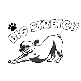 BIG STRETCH logo