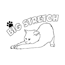 BIG STRETCH logo