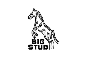 BIG STUD logo