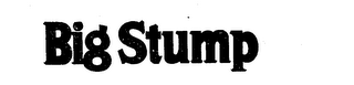 BIG STUMP logo
