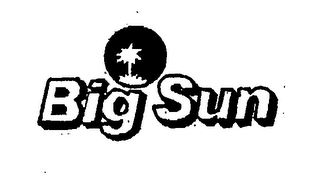BIG SUN logo
