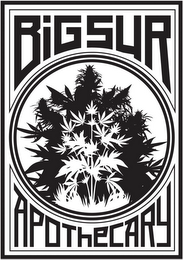 BIG SUR APOTHECARY logo