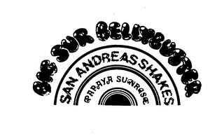 BIG SUR BELLYBUSTER SAN ANDREAS SHAKES PAPAYA SUNRISE logo