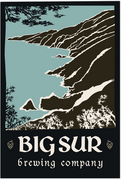 BIG SUR BREWING COMPANY logo