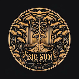 BIG SUR COFFEE CO. logo