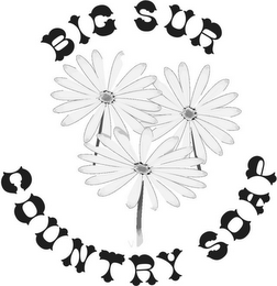BIG SUR COUNTRY SOAP logo