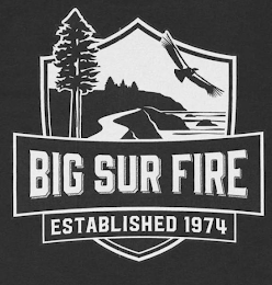BIG SUR FIRE ESTABLISHED 1974 logo