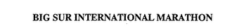 BIG SUR INTERNATIONAL MARATHON logo