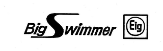 BIG SWIMMER EIG logo