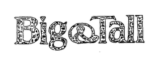 BIG & TALL logo