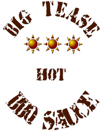 BIG TEASE HOT BBQ SAUCE logo