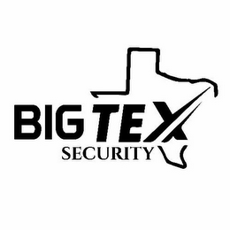 BIG TEX SECURITY logo