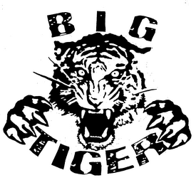 BIG TIGER logo