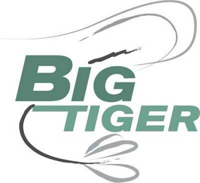 BIG TIGER logo