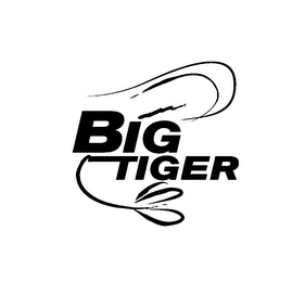BIG TIGER logo