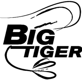BIG TIGER logo