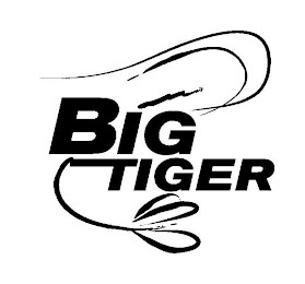 BIG TIGER logo