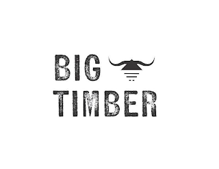 BIG TIMBER logo