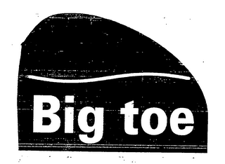 BIG TOE logo