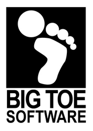 BIG TOE SOFTWARE logo