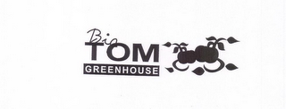 BIG TOM GREENHOUSE logo