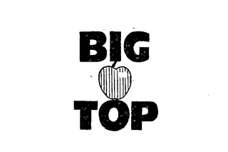 BIG TOP logo