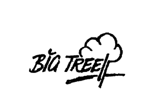 BIG TREE logo