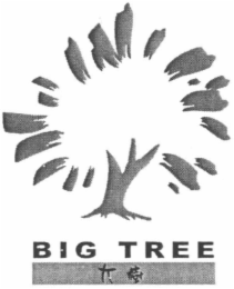 BIG TREE logo