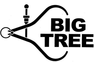 BIG TREE logo