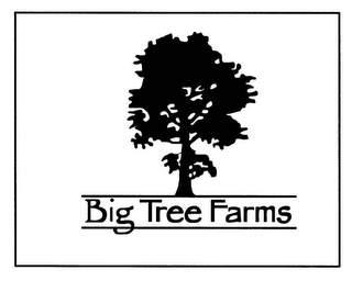 BIG TREE FARMS logo