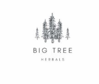 BIG TREE HERBALS logo